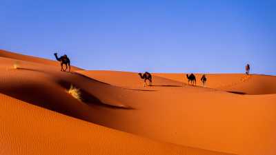 A Resplandecente História Verde do Deserto do Saara