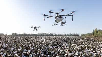 Drone com IA: A Revolução na Agricultura com a Substituição Humana na Colheita de Frutas