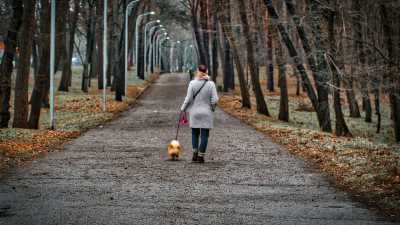 Maximizando a Atividade Física com Seu Melhor Amigo: Os Benefícios do Dog Walking para a Saúde Humana e Canina