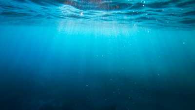 Usando os Oceanos no Combate às Mudanças Climáticas: Uma Proposta Científica